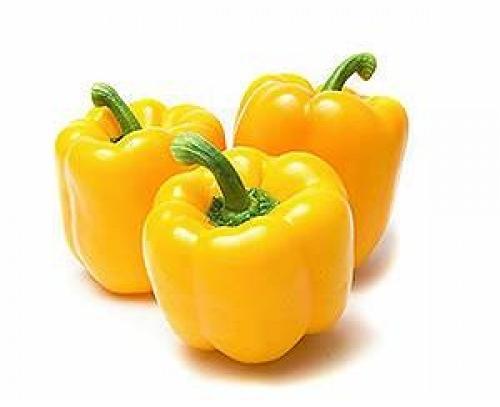 Common Fresh Yellow Capsicum, Feature : Nutritious, Healthy To Eat