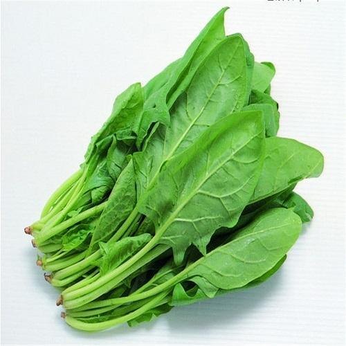 Organic Fresh Spinach Leaves, for Good Nutritions, Good Health, Color : Light Green