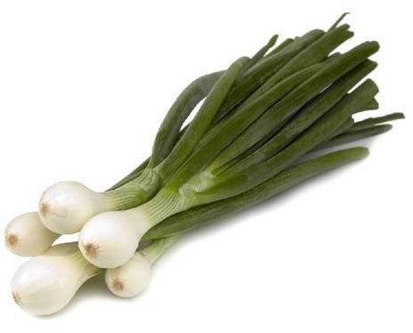 Organic Fresh Spring Onion, Feature : Natural Taste