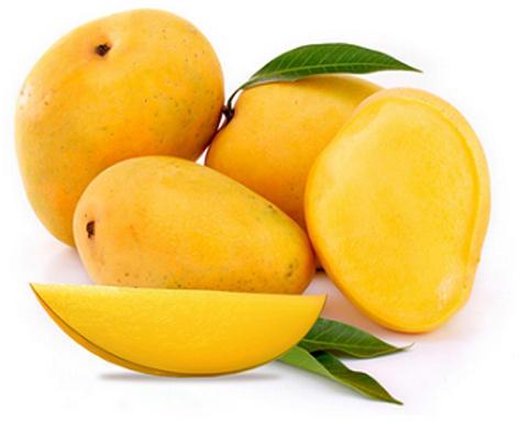 Organic fresh alphonso mango, Shelf Life : 5-10Days