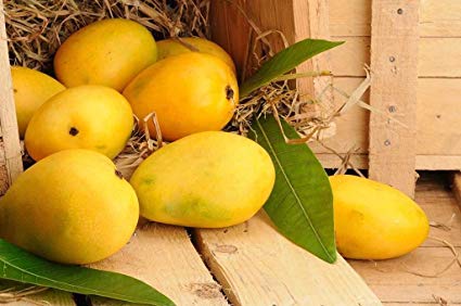 Organic Chaunsa Mango, for Human Consumption, Packaging Type : Jute Bag