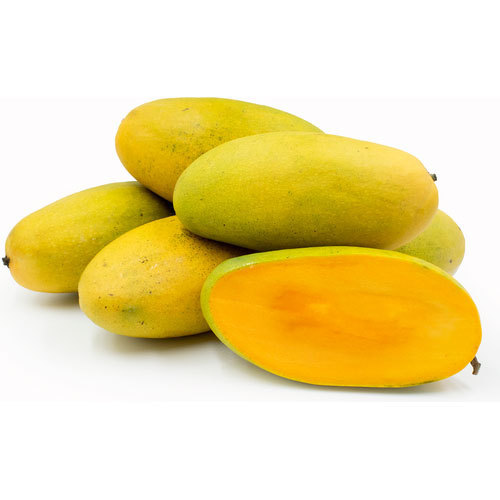 Organic Dasheri Mango, for Human Consumption, Packaging Type : Jute Bag