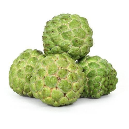 Organic Fresh Custard Apple, for Human Consumption, Packaging Type : Jute Bag