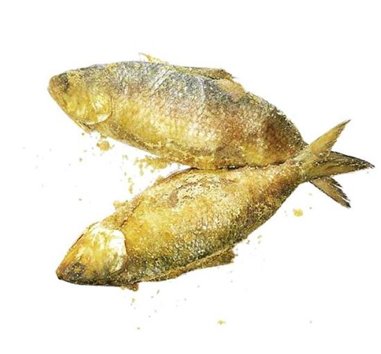 Dried Hilsa Fish, for Cooking, Style : Preserved