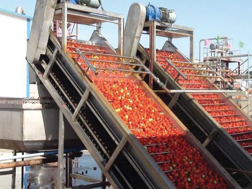 Halotech Automations 100-1000kg Tomato Processing Plant, Automatic Grade : Semi Automatic