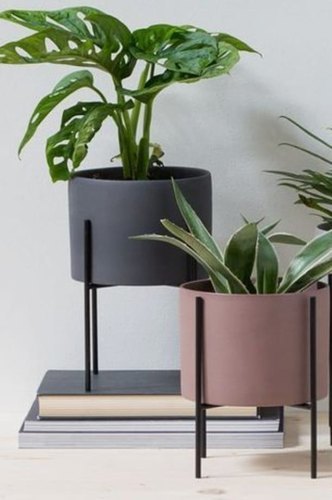 Iron Indoor Planter