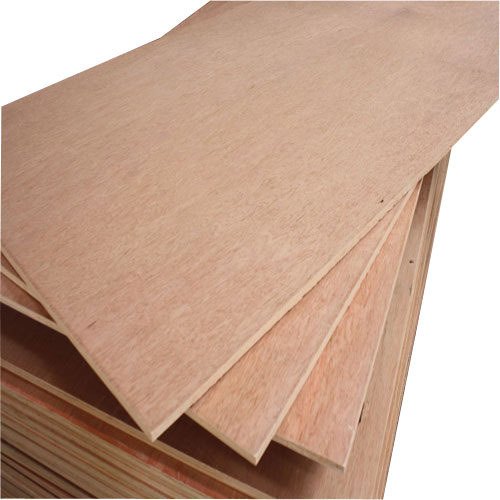 Plain Poplar Plywood, Shape : Rectangular