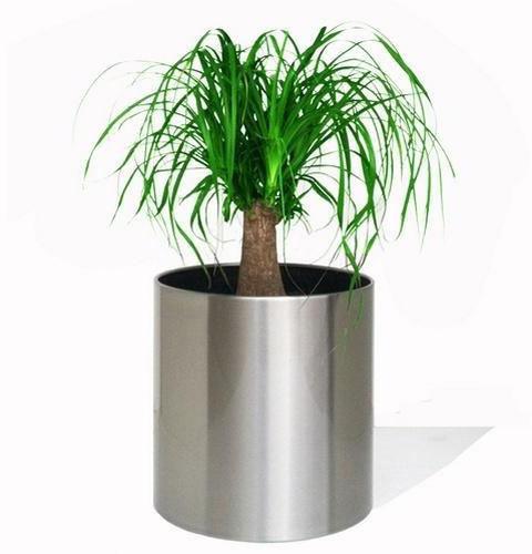 Polished Stainless Steel Cylindrical Planter, Pattern : Plain, Color : Silver