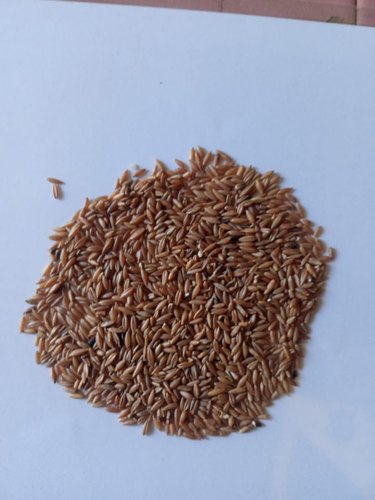 Organic red rice, Packaging Type : Packet