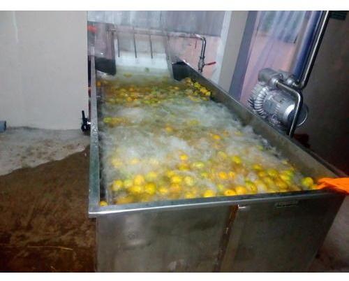 mango pulp processing plant