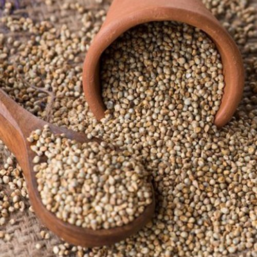 Organic Pearl Millet