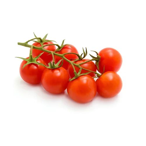 fresh tomato