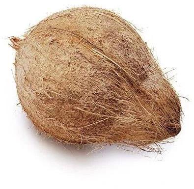 Hard Natural Semi Husked Coconut, for Freshness, Good Taste, Healthy, Easily Affordable, India, Form : Solid