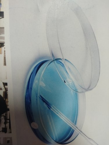 Glass Petri Dish, Size : 100x17