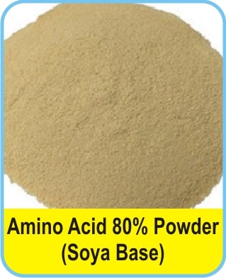 Soya Base Amino Acid Powder, for Industrial, Certification : ISI Certified