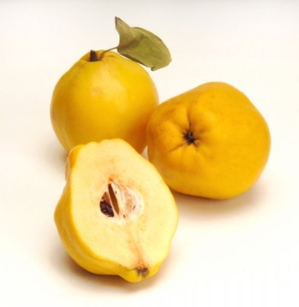 Fresh Quince Fruit