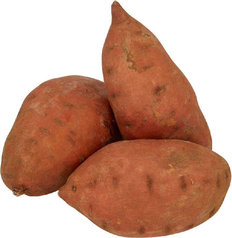 Fresh Sweet Potato, for Cooking, Feature : Hygienically Packed