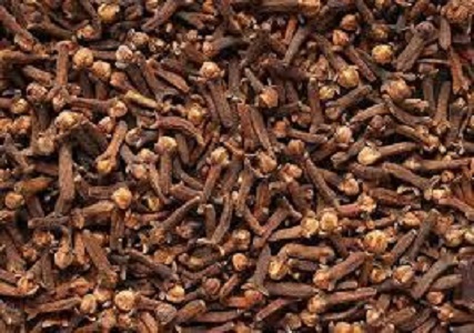 Jesvil Organic Dry Cloves, for Cooking, Spices, Packaging Size : 100gm, 200gm, 250gm, 500gm
