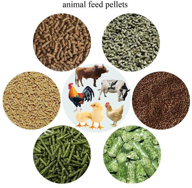 animal feed