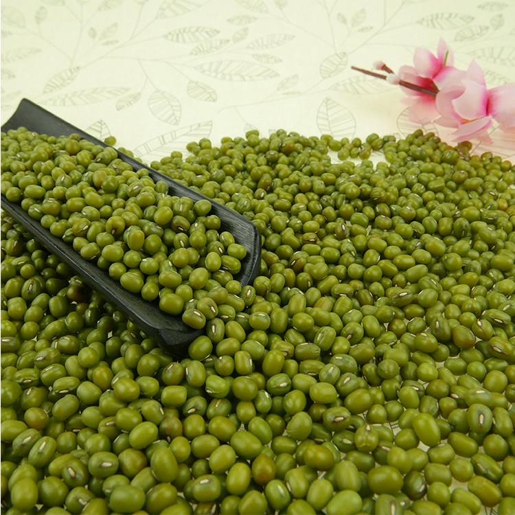 green mung beans