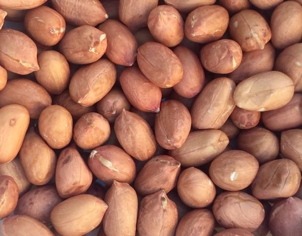 Raw Red Skin Peanuts