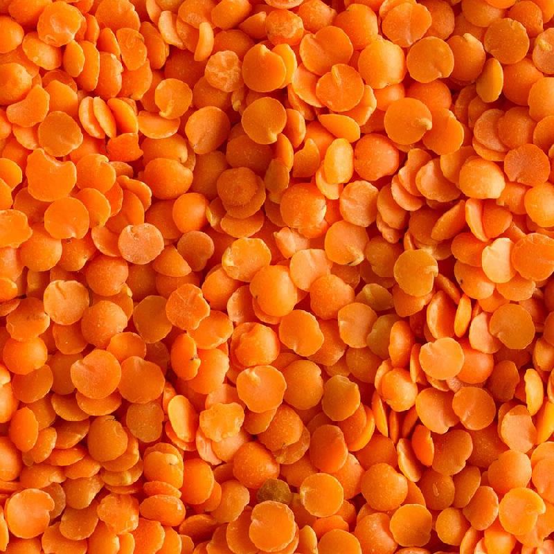 Common Red Lentils Masoor Dal, for Cooking, Feature : Healthy To Eat, Highly Hygienic, Nutritious