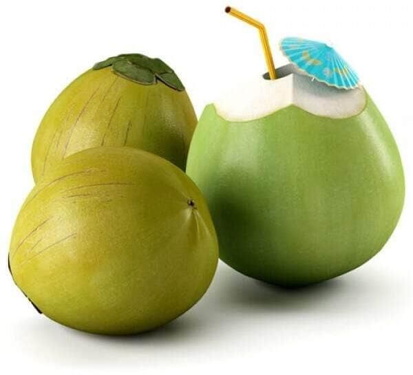 Fresh Tender Coconut, for Highly Nutritious Fat Free, Color Green at