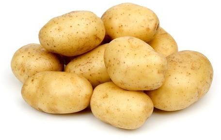 Round Organic Fresh Potatoes, for making chips, Variety : Chipsona