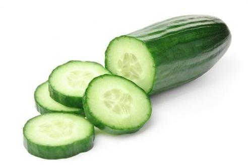 Natural Fresh Cucumber,fresh cucumber, for Human Consumption, Packaging Size : 20kg, 25kg