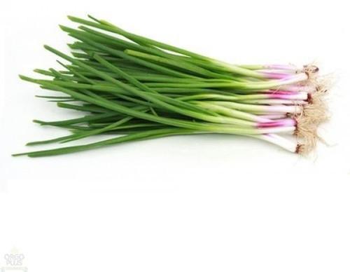 Natural Fresh Spring Onion, for Cooking, Packaging Type : Jute Sacks