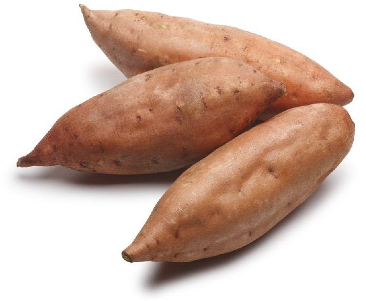 Fresh Sweet Potato, for Cooking, Snacks, Packaging Type : Gunny Bags