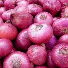 fresh onion