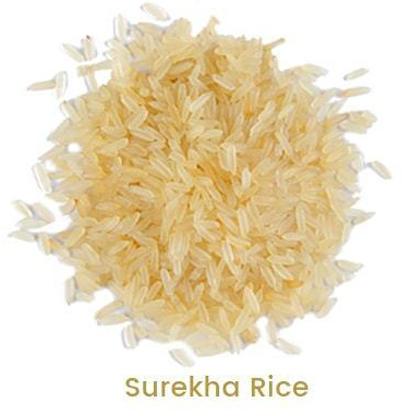 Surekha Rice