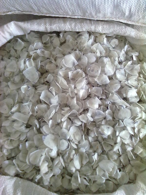 Dried fish scales, for Cooking, Human Consumption, Making Medicine, Making Oil, Packaging Type : Vaccum Packed
