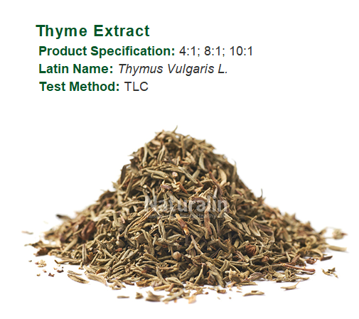 Natural Thyme Extract, for Medicinal, Food Additives, Grade ...