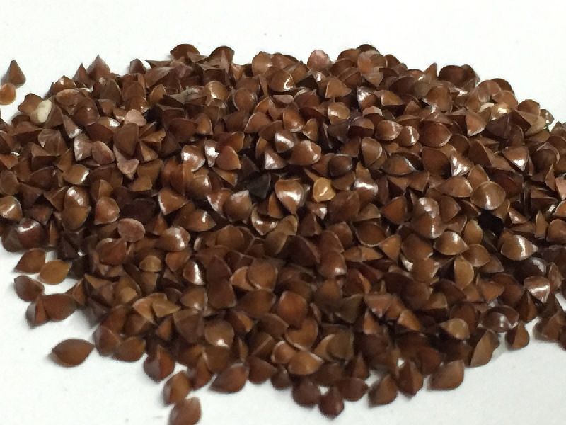 Red Beejband Seeds