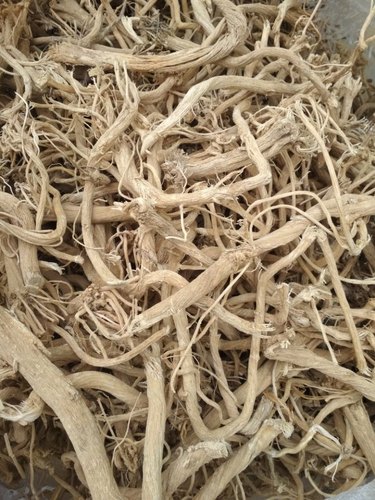 Indrayan Roots, Style : Dried