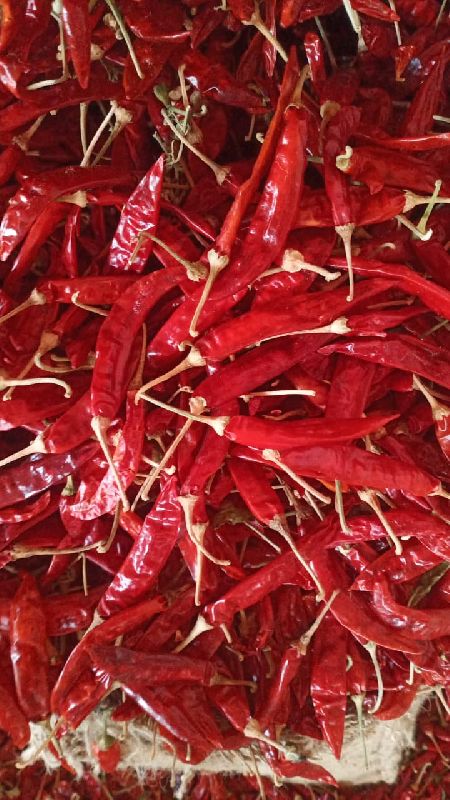 Organic Dried Red Chilly, Packaging Type : Plastic Packet, Paper Box
