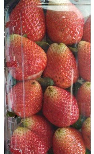 Strawberry, Packaging Type : Plastic Box