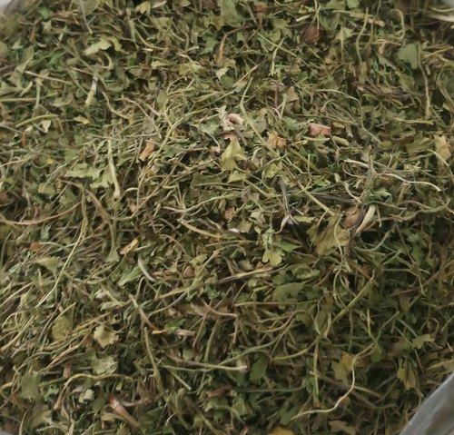 Dried Coriander Leaves, Packaging Size : loose