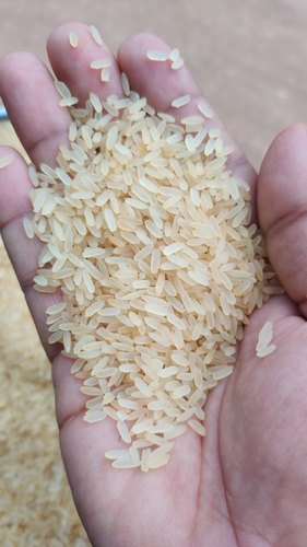 Surekha rice