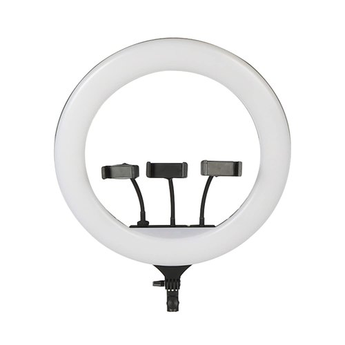 18 Inch LED Ring Light With Stand at Rs 3499/set, LED Ring Light in  Chennai