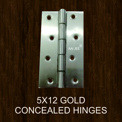 AAI JEE SS Gold Concealed Hinges, Size : 4x12, 5x12