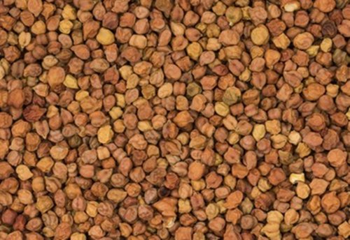 Organic Dried Chana, Packaging Type : Loose