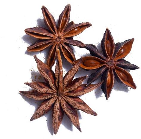 Star Anise, Style : Dry