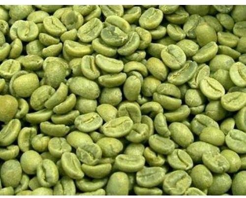 Green Coffee Bean, Variety : Arabica Plantation