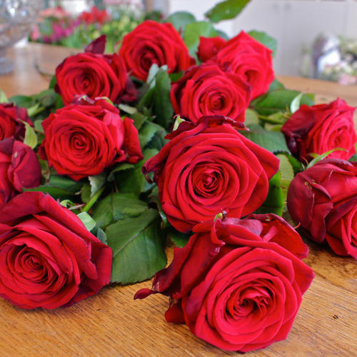 Organic Fresh Red Rose Flowers, Feature : Freshness, Natural Fragrance
