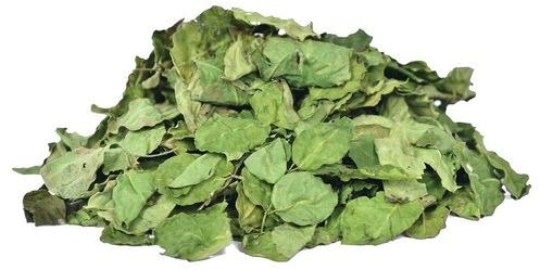 Dried moringa leaves, Packaging Type : Loose