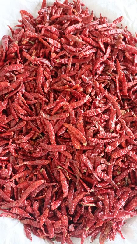 dried chillies