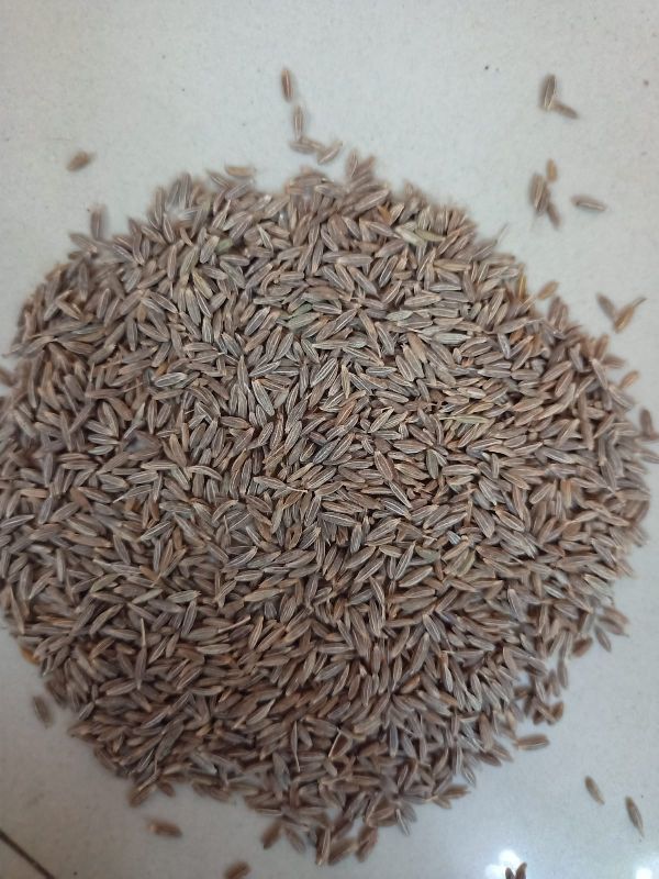 cumin seeds